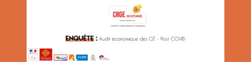 Google Form Audit GE Post Covid - CRGE Occitanie